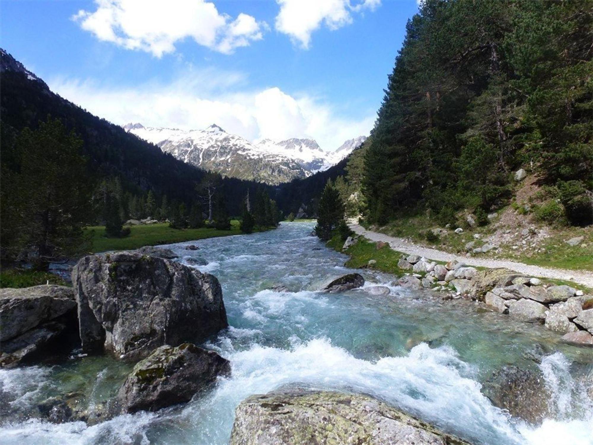 Appartement Cosy 4 Pers A 50M Des Thermes Et 300M Des Pistes, Wifi, Ascenseur - Fr-1-234-128 Cauterets Buitenkant foto